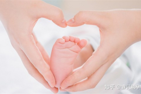 http://shenyang.51dzb.net/post/188.html|沈阳新闻中心