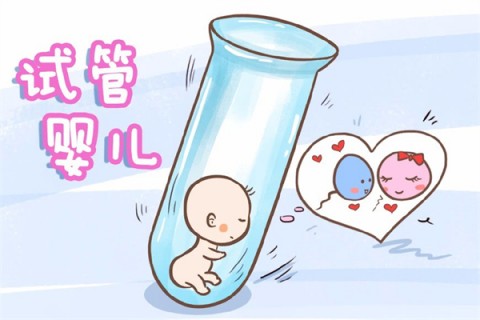 http://shenyang.51dzb.net/post/212.html|沈阳新闻中心